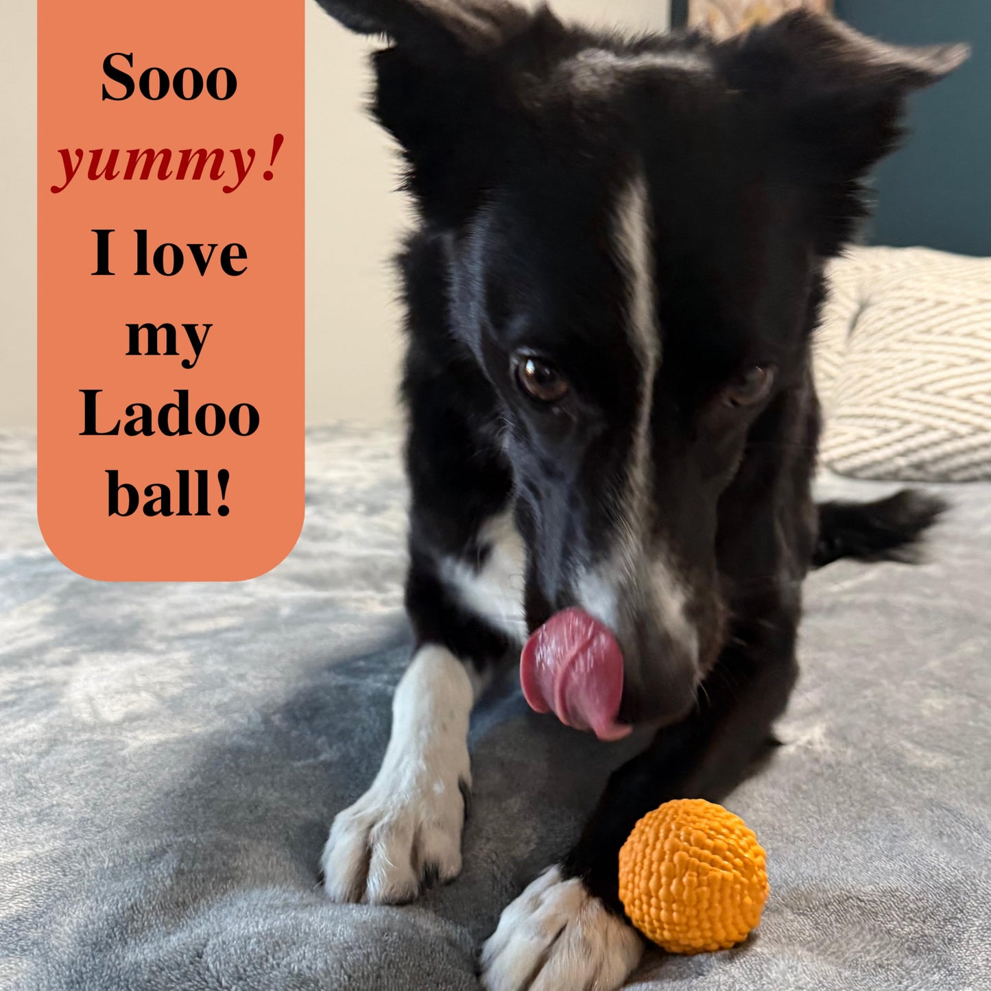 DesiPups Mithai Ladoo Ball Toy | Textured Material to Keep Dogs Engaged | Ideal for Small and Medium Dogs | Designed to Play Indoors or Outdoors | Easy to Clean Indian Desi Play Treat