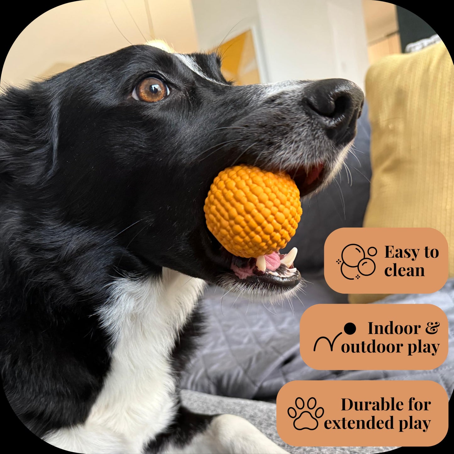 DesiPups Mithai Ladoo Ball Toy | Textured Material to Keep Dogs Engaged | Ideal for Small and Medium Dogs | Designed to Play Indoors or Outdoors | Easy to Clean Indian Desi Play Treat