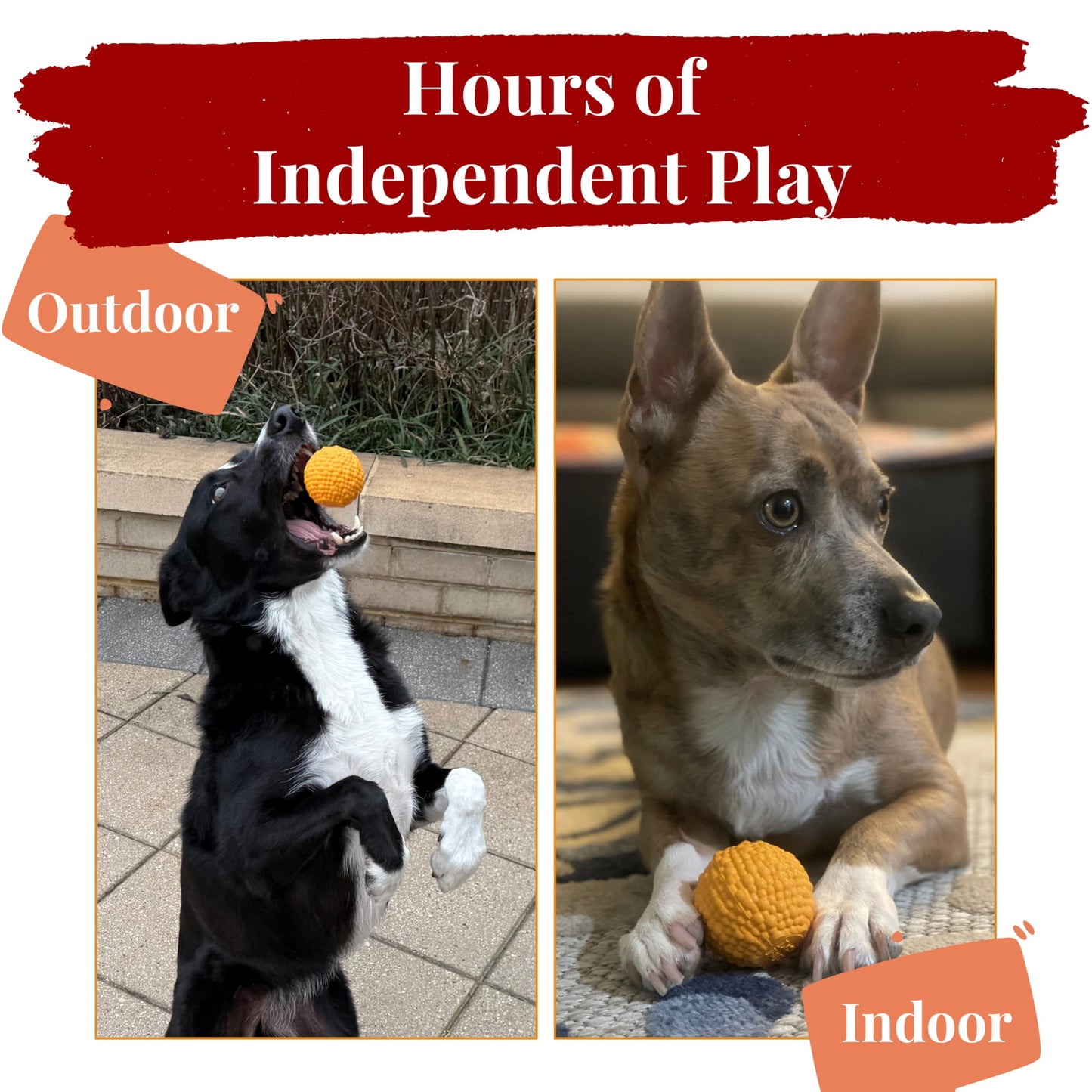 DesiPups Mithai Ladoo Ball Toy | Textured Material to Keep Dogs Engaged | Ideal for Small and Medium Dogs | Designed to Play Indoors or Outdoors | Easy to Clean Indian Desi Play Treat